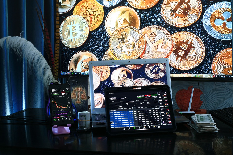 Cryptocurrency for Beginners: Common Terms, Fun Crypto Facts