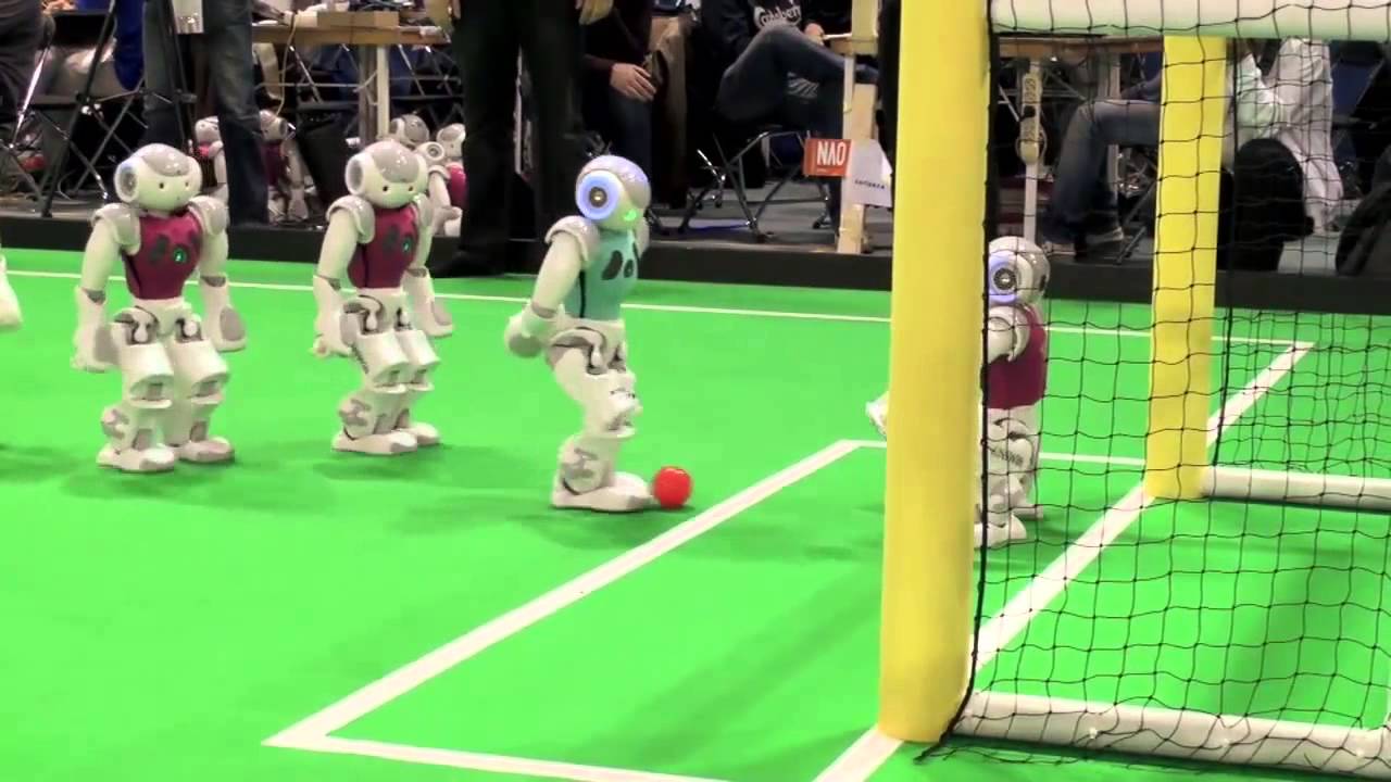Types of Humanoid Robots