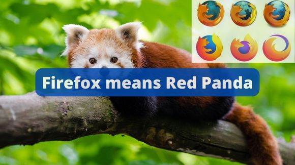 Firefox's Logo is Not Actually a Fox