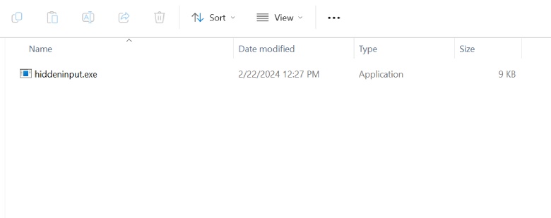What is hiddeninput.exe?