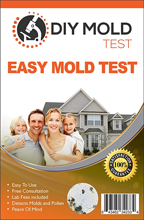 DIY Mold Test