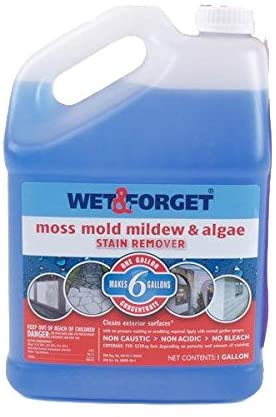 Wet and Forget 10587 1 Gallon Moss, Mold and Mildew Stain Remover