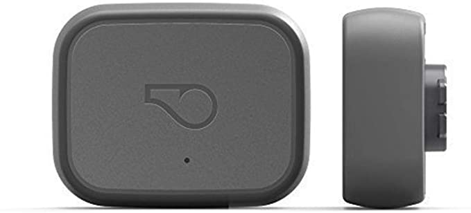 Whistle 3 / GPS Pet Tracker & Activity Monitor / Grey