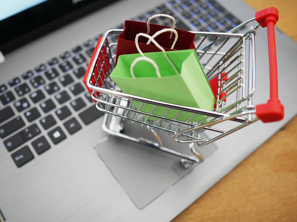 What is Online Grocery Shopping?