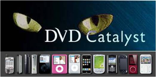 dvd-catalyst